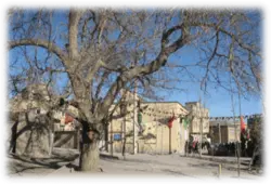 تحلیل شکل و فضاهای مرکز محله کلپا
