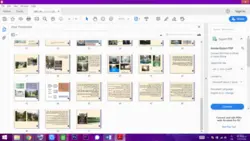 منظرسازی: باغ سازی هند
