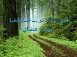 نقش گیاه در کیفیت فضای شهری
