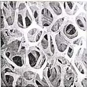 استخر شناي المپيك 2008 چين