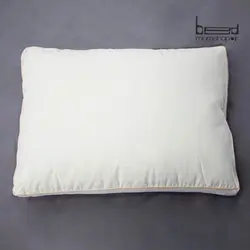 بالش طبی آلپ