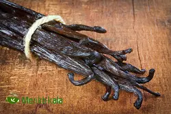 غلاف وانیل