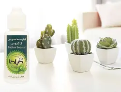 قطره تقویت کاکتوس گیلدا(30 سی سی)
