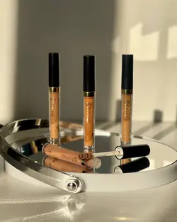 ریمل ابرو FASHION BROW