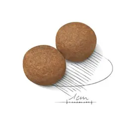 غذای سگ رویال کنین مدل مکسی ادالت وزن 4 کیلوگرم – Royal Canin Maxi Adult