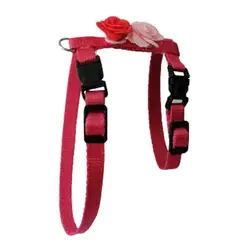 قلاده کتفى گربه و سگ رز وود به همراه لید - Rosewood