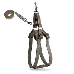 قلاده کتفى سگ نیناپت مدل VIP به همراه لید سایز 1 - NinaPet