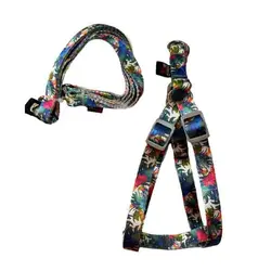 قلاده کتفى سگ نیناپت مدل ریتم به همراه لید سایز 2 - NinaPet