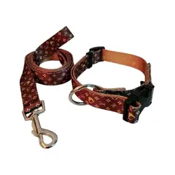 قلاده گردنی سگ آوا به همراه لید سایز ایکس لارج - Ava