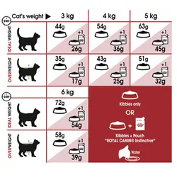 غذای گربه رویال کنین مدل فیت رگولار 32 وزن 400 گرم - Royal Canin Regular Fit 32