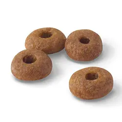 غذای گربه رویال کنین مدل فیت رگولار 32 وزن 400 گرم - Royal Canin Regular Fit 32