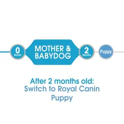 کنسرو سگ رویال کنین مدل استارتر مادر و توله سگ وزن 195 گرم – Royal Canin Starter Mousse
