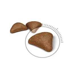 غذای گربه هیربال رویال کنین وزن 400 کیلوگرم