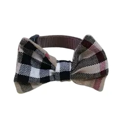 قلاده گردنی سگ و گربه مریلند مدل پاپیونی سایز اسمال