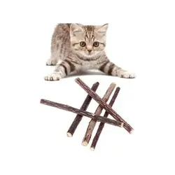 تشویقی دنتال گربه با طعم کت نیپ بایولاین