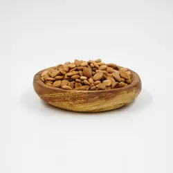 مغر هسته زردآلو