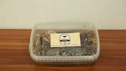 عسل مومدار چندگیاه 500گرمی(بسته بندی)