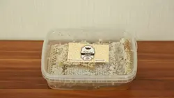 عسل مومدار گون انگبین 500گرمی(بسته بندی)