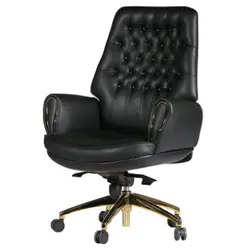 صندلی کارشناسی گلدسیت مدل رویال A2090