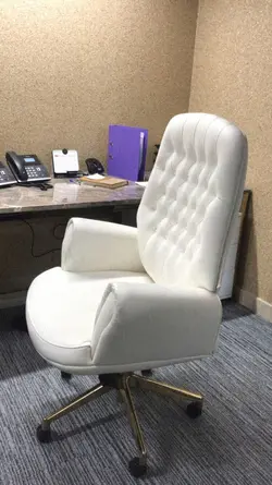 صندلی کارشناسی گلدسیت مدل رویال A2090