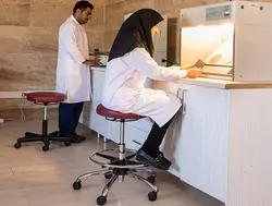 ‌صندلی آزمایشگاهی صنعتی مدل SL206 نیلپر (LCL 206)