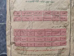 بذر ذرت سینگل کراس 704 کشت و صنعت پارس 25 کیلویی