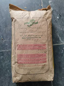 بذر ذرت سینگل کراس 704 کشت و صنعت پارس 25 کیلویی