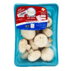 قارچ آوا 400 گرم