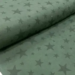 میکرو سبز ستاره