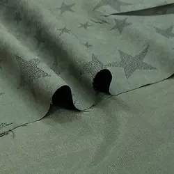 میکرو سبز ستاره