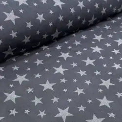 میکرو طوسی ستاره