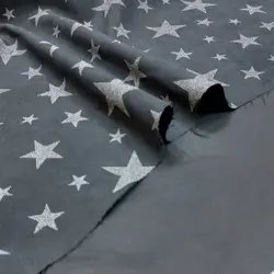 میکرو طوسی ستاره