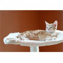 اسکرچر گربه هیوا پت مدل S249
