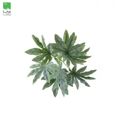 گیاه مصنوعی مدل آرالیا