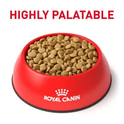 غذای خشک سگ گاسترو اینتستینال با چربی کم رویال کنین (Royal Canin Gastro Intestinal Low Fat) وزن 6 کیلوگرم