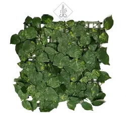 دیوار سبز مدل پتوس