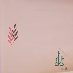 آلبوم کاغذ دیواری دکوراتیو کد d-70406
