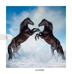 پوستر دیواری حیوانات M5-50550