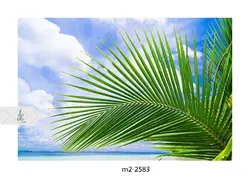 پوستر دیواری منظره و طبیعت M2-2583