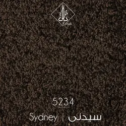 موکت ظریف مصور طرح سیدنی ۵۲۳۴