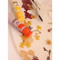 پالت رزيني زمینه شفاف - طرح گل