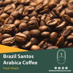 قهوه عربیکا برزیل سانتوس