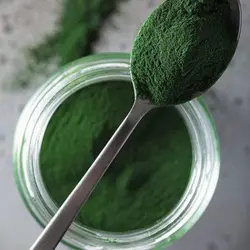 ماسک جلبک ارفلند