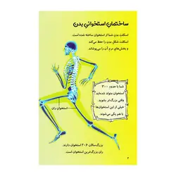 کتاب یک فنجان دانستنی درباره ی بدن شما - فروشگاه اینترنتی با زنده رود