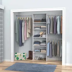 باکس نظم دهنده تیج سان مدل برگ انجیر Medium