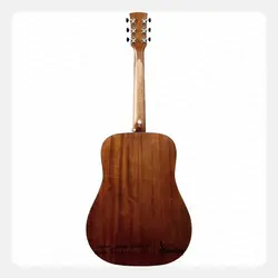 گیتار آکوستیک آیبانز مدل AVD9 NT