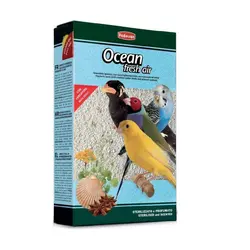 شن اقیانوس پرندگان پادوان