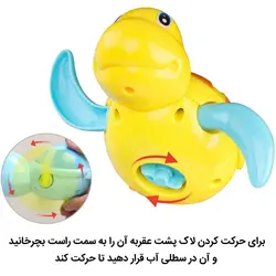 لاکپشت کوکی بزرگ