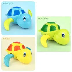 لاکپشت کوکی بزرگ