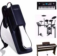 پدال تکی ساستین ارگ و پیانو   Sustain Pedal keyboards and piano